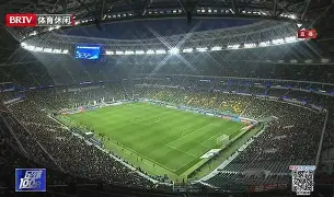 开云体育app-周启豪对奥恰洛夫的比赛视频回放完整