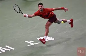 德约科维奇对阵穆塞蒂